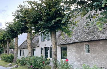 Alte Schmiede - Foto 17