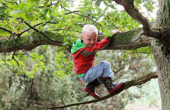 Twente Steam Shower Holiday Home - Foto 29