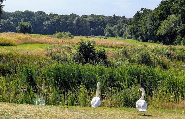 Seaside Charm in Frederikshavn - By Traum Ferienwohnungen - Foto 15