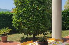 La Magnolia - Foto 2