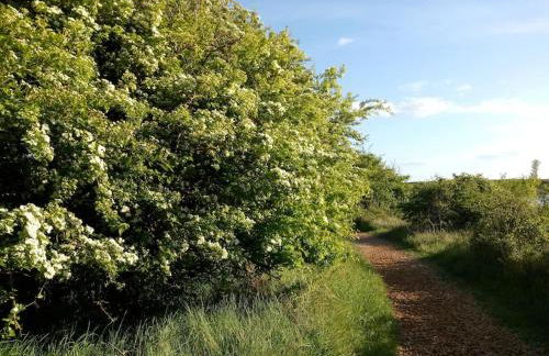 The Patch at Snettisham Beach - Foto 72