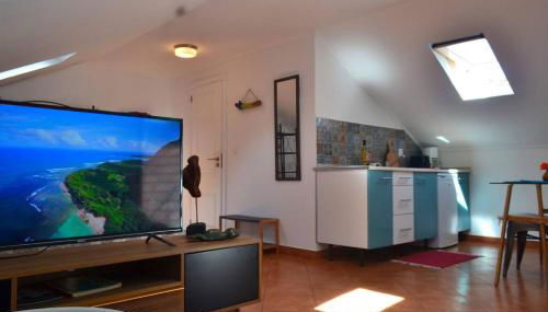 Lazy Lizard Studio - Foto 5