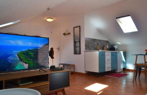 Lazy Lizard Studio - Foto 5