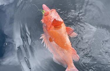 Accessible, Comfort, Convenient Location 106 - Foto 22