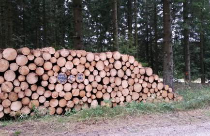 Am Mühlenberg - Foto 17