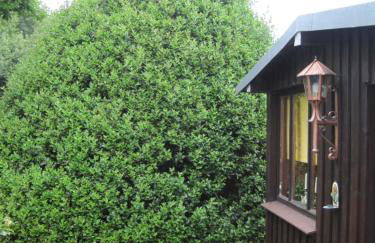 Ferienwohnung Weber - Foto 6