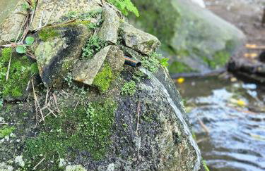 100mts beach Ribeirão da Ilha c Espaço Gourmet - Foto 42