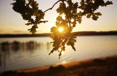 Bungalow Maya - Foto 21