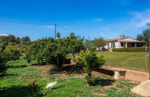 Can Pamboli - Foto 33