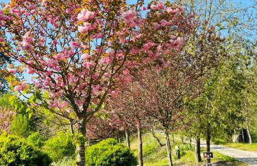 Cascina Tornara, ritorno alle origini monferrine - Foto 47