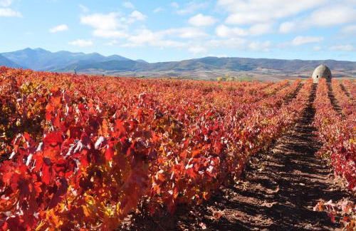 Apartamento Golf Rioja Alta - Foto 28