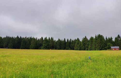 Forest Escape With Terrace - Foto 67