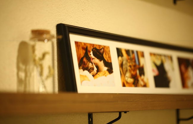 Yagura Hostel - Foto 34