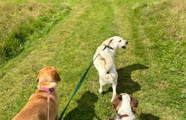 Pheasants Nook - Foto 41