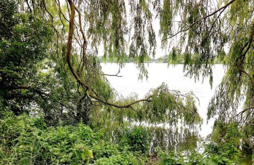 zentrale Ferienwohnung - direkt am See und in Schlossnähe - Photo 18