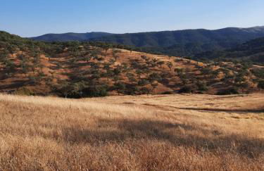 Casa de Piedras by SIERRA VIVA desing - Foto 22