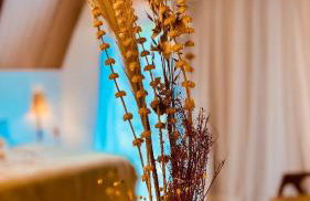 Cabana Mulungu - Viagem Inspirada - Foto 17