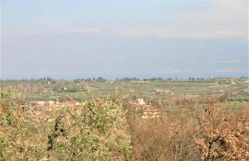 Al Profumo del Garda - Foto 13