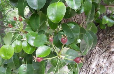 Piso Vacacional en Murcia - Foto 29