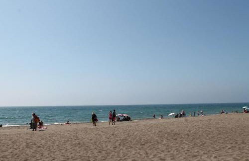 PACIFICO 18 - Photo 61