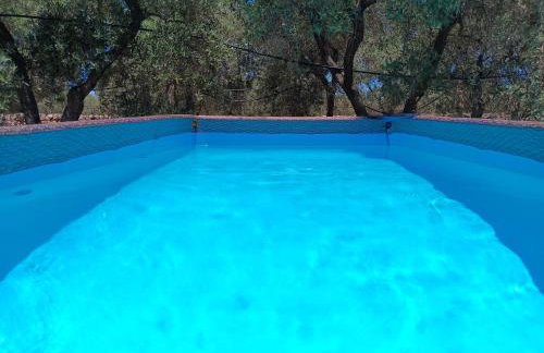 Casale Eucalipto, un uliveto vicino al mare - Foto 2