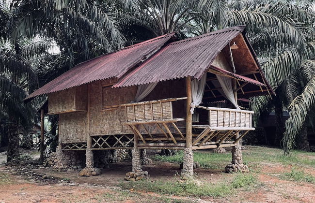 Sahom Valley Resort - Agro & Eco - Foto 4