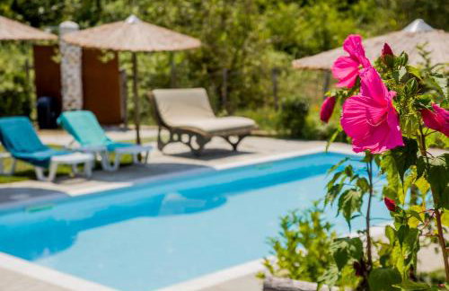 Alexander Aqua Oasis - Poolside Garden Getaway - Foto 4