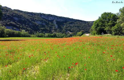 Le Mas du Paulou - Foto 18