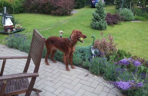 Holiday Home Haus am Seeufer in Plau am See by Interhome - Foto 6