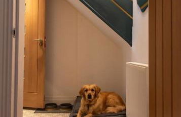 The Stylish 3-Bedroom Maisonette Retreat - Photo 14