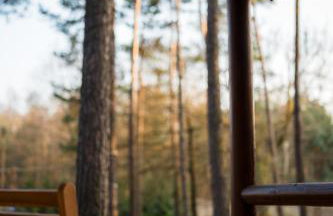 Kajaki wino i śpiew - domek z sauną w otoczeniu lasów i sąsiedztwie zalewu - Foto 44