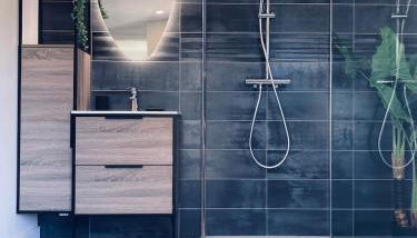 La bulle des Viennes MAISON CLIMATISEE - CHAMPAGNE - Foto 4, Shower