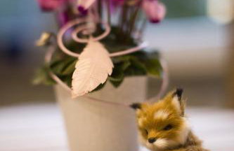 Ferienwohnung Naturpur - Foto 4