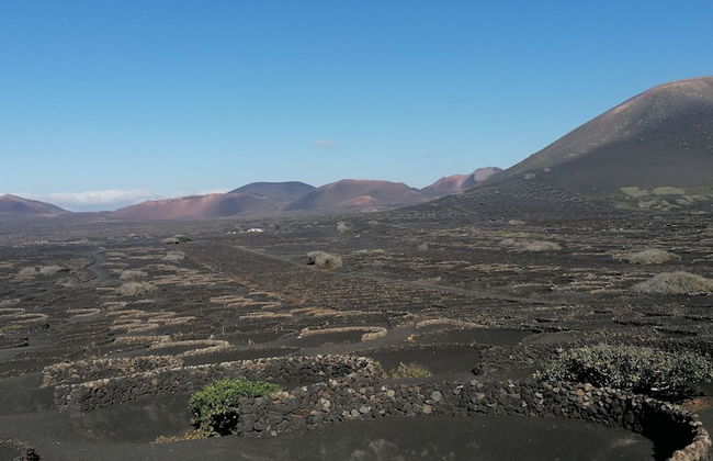 Ereza Apartamentos Los Hibiscos - Adults Only - Photo 32