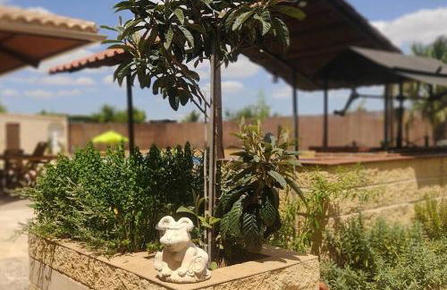 Finca El Pilar - Foto 35