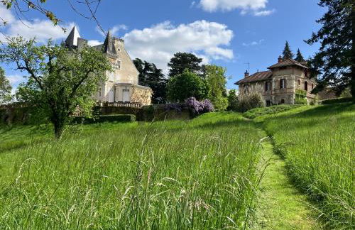 Le château La Villaine Magnifique château au cœur de la Touraine - Foto 5