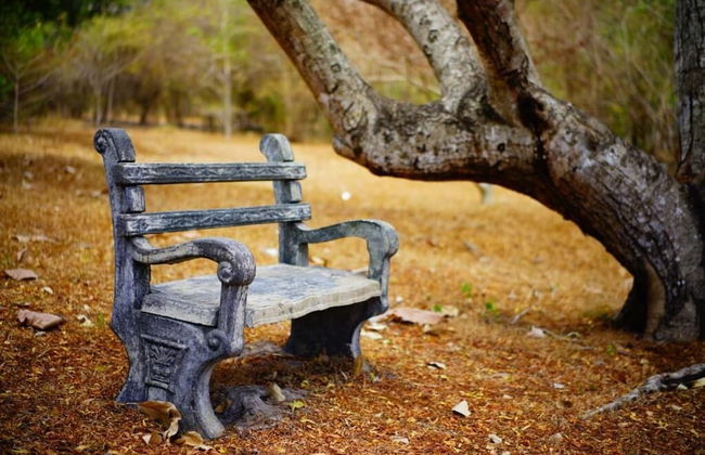 Water's Edge Anuradhapura - Foto 16