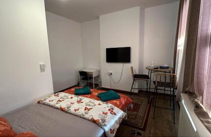 LARGE SELF CATERING HOUSE WITH WiFi CLOSE TO TRANSPORTS - Photo 7