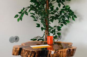 ALTAMENTE - Alojamento Local - Foto 9