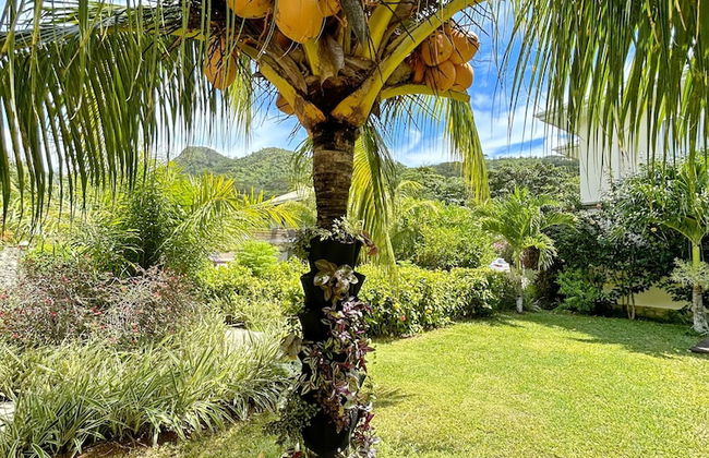 The Seaboards Apartments Seychelles - Foto 26