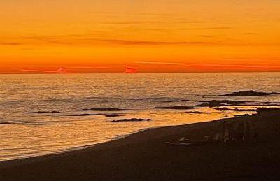 The New 2 Plas Morolwg - Foto 4