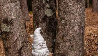 Tiny Home Lookout Mountain - Near Downtown & Falls - Foto 4