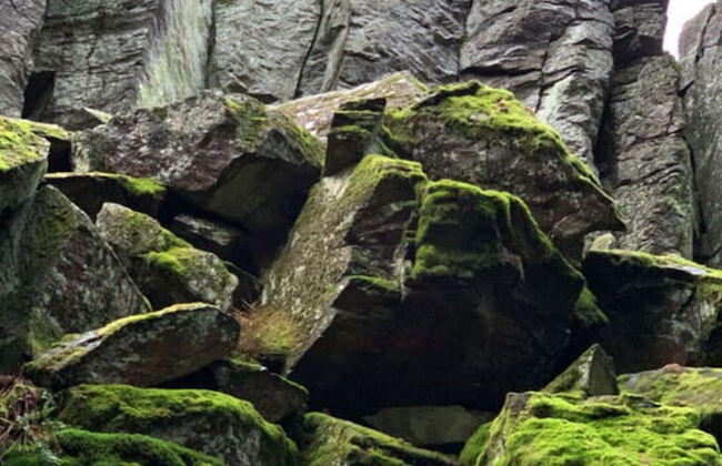 1 mit Sauna Ferienhaus Poppenhausen - Foto 10