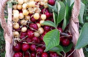 Agriturismo il Poggiarello - Foto 39