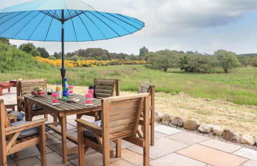 Pine Marten - Foto 31