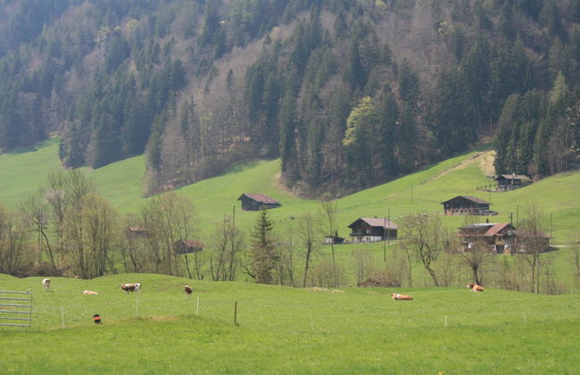 Chalet Bifigen - Foto 9