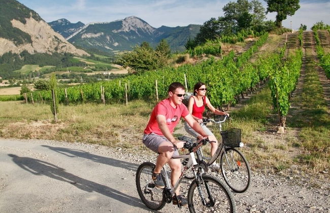 Domaine du Couriou - Foto 50