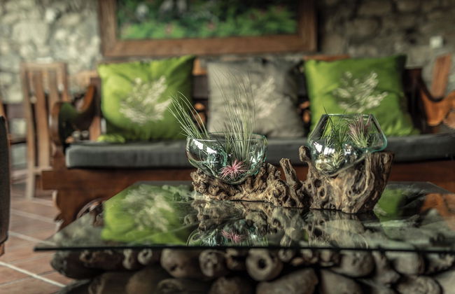 Mas Campassol - Foto 24