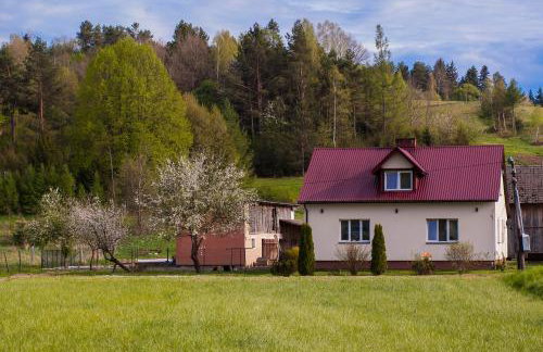 U Jadzi Pogórze Przemyskie - Foto 15