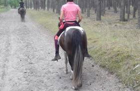 Ferienwohnung Zossen Gästehaus - Foto 21